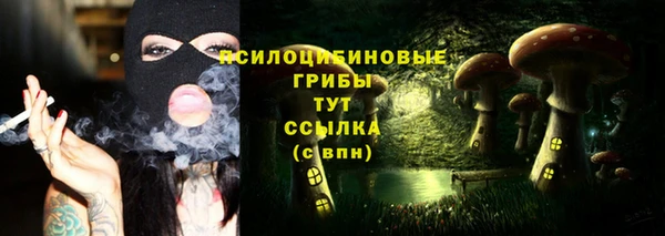 трава Бородино