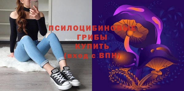 винт Бугульма