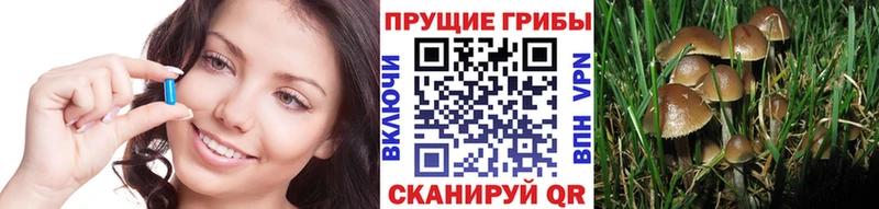 блэк спрут маркетплейс  Ангарск  Галлюциногенные грибы MAGIC MUSHROOMS 